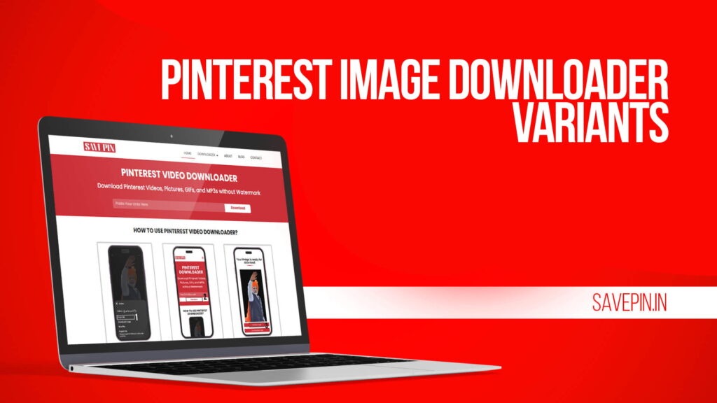 Pinterest Image Downloader Variants