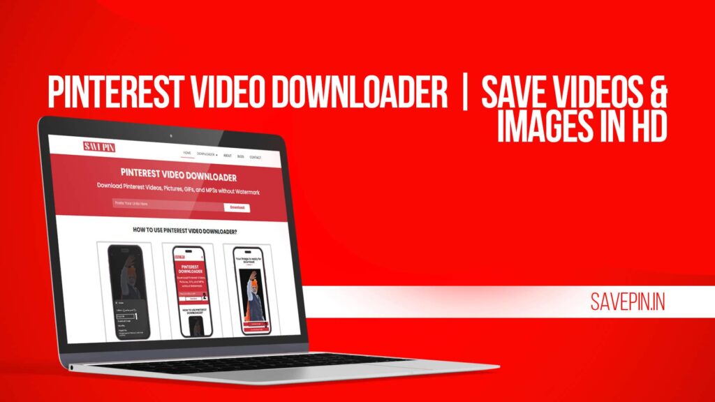 Pinterest Video Downloader | Save Videos & Images in HD