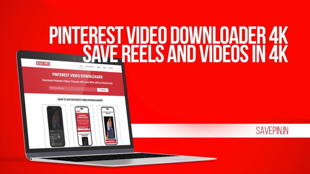 Pinterest Video Downloader 4K | Save Reels and Videos in 4K