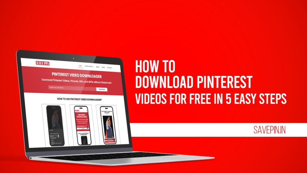 How to Download Pinterest Videos for Free in 5 Easy Steps