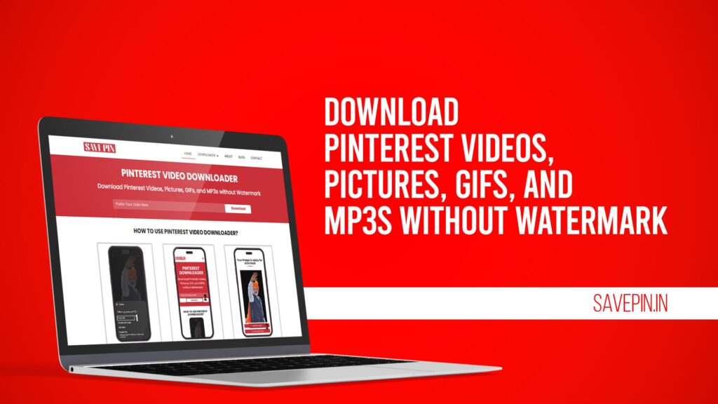 Download Pinterest Videos, Pictures, GIFs, and MP3s without Watermark