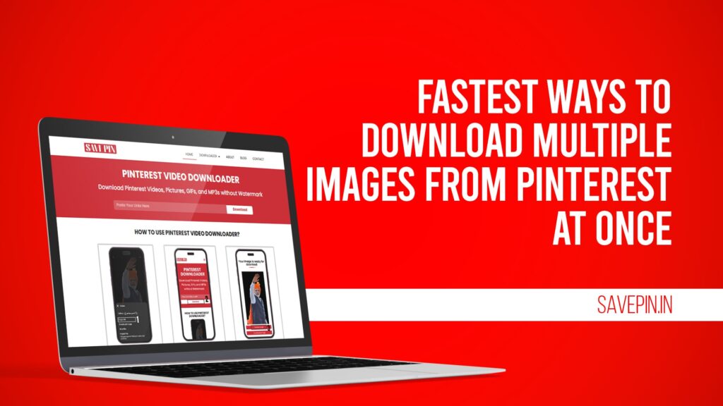 Fastest Ways to Download Multiple Images from Pinterest At Once