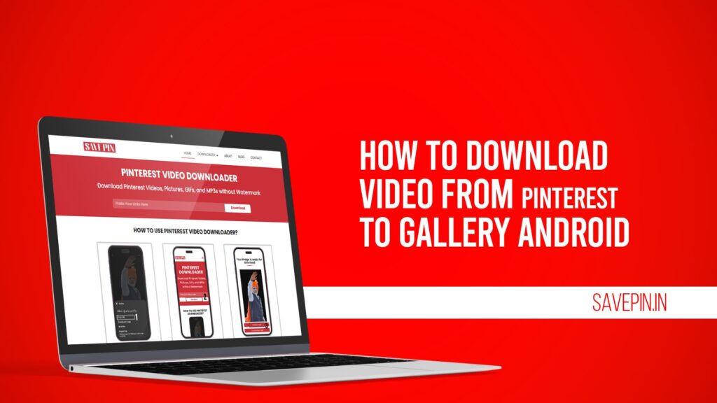 How to Download Video From Pinterest to Gallery Android