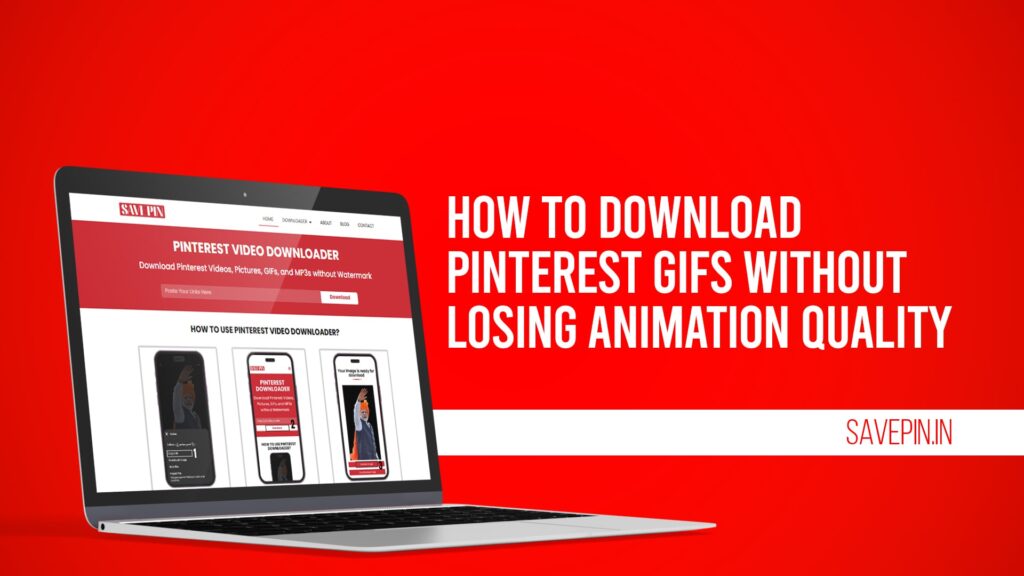 How to download Pinterest Gifs without Losing Animation Quality