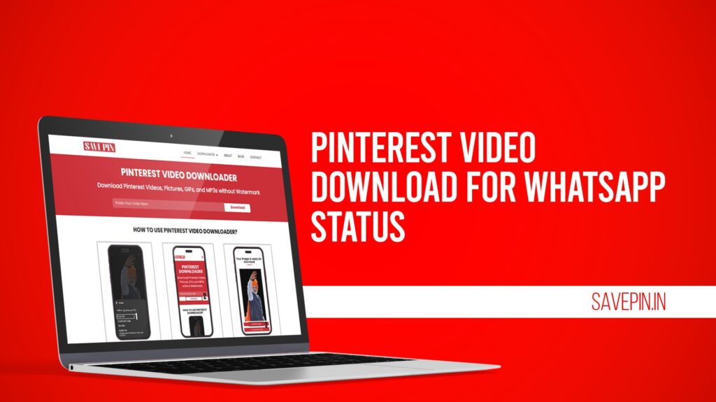 Pinterest Video Download For WhatsApp Status