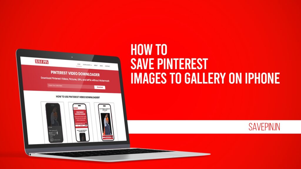 How to Save Pinterest Images to Gallery on iPhone