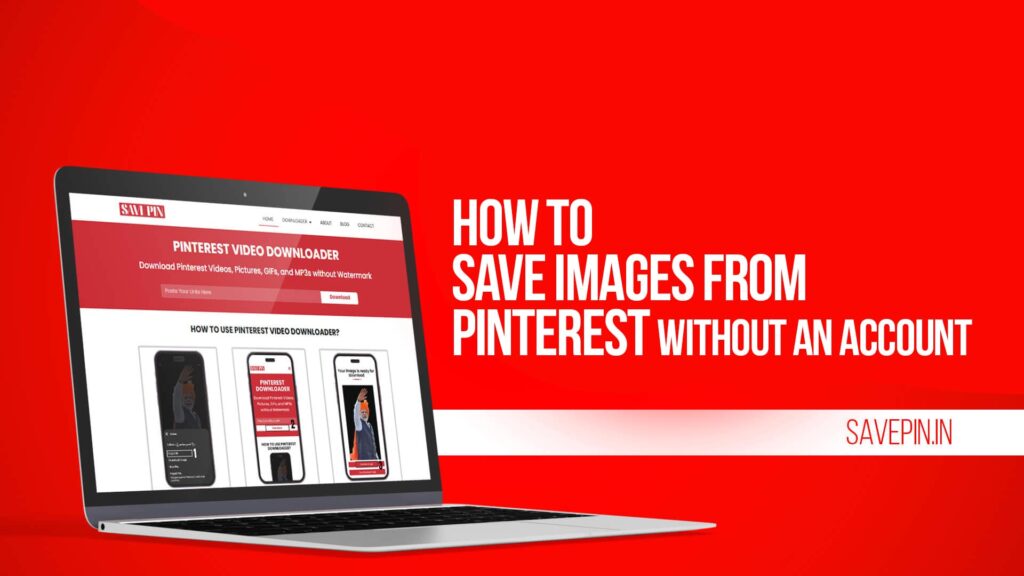 How to Save Images from Pinterest Without an Account