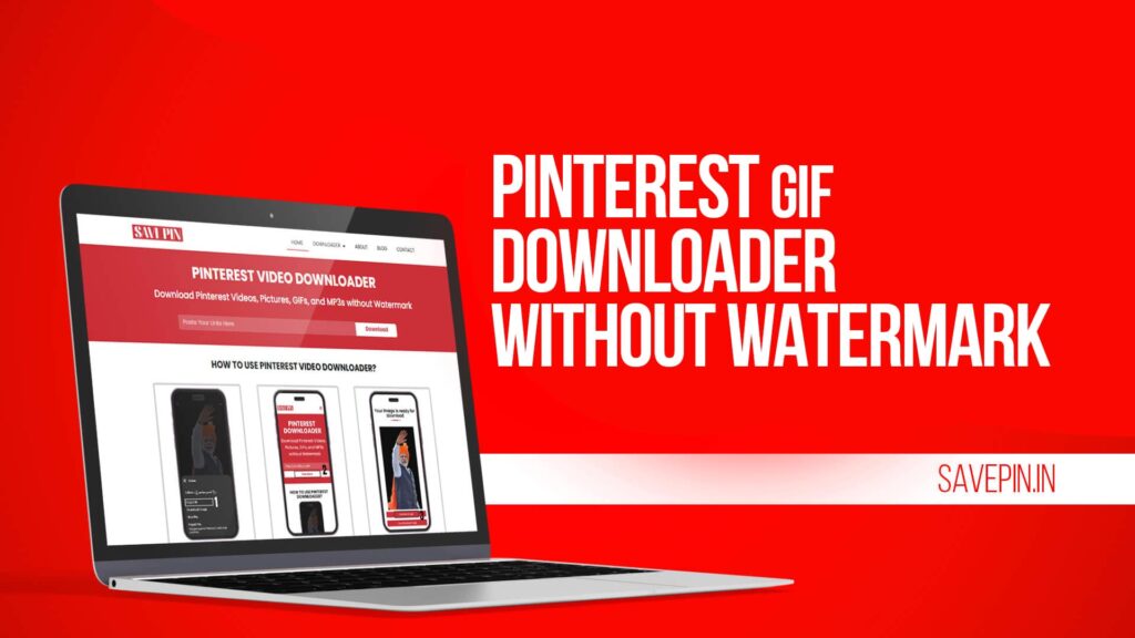Pinterest GIF Downloader Without Watermark