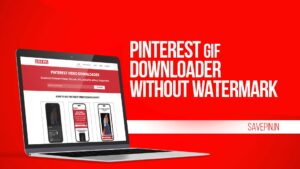 Pinterest GIF Downloader Without Watermark