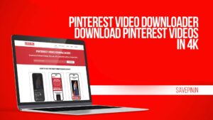Pinterest Video Downloader - Download Pinterest Videos in 4K