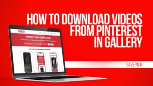 How to Download Videos from Pinterest in Gallery