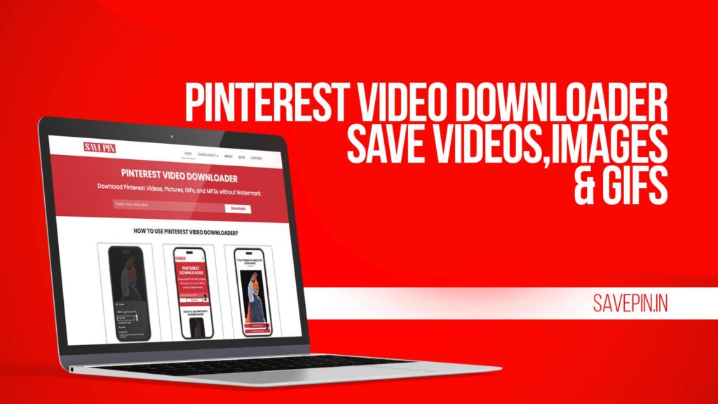 Pinterest Video Downloader - Save Videos, Images & GIFs