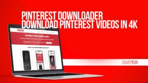 Pinterest Downloader - Download Pinterest Videos in 4K