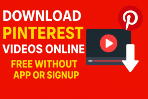Download Pinterest Videos Online Free Without App or Signup