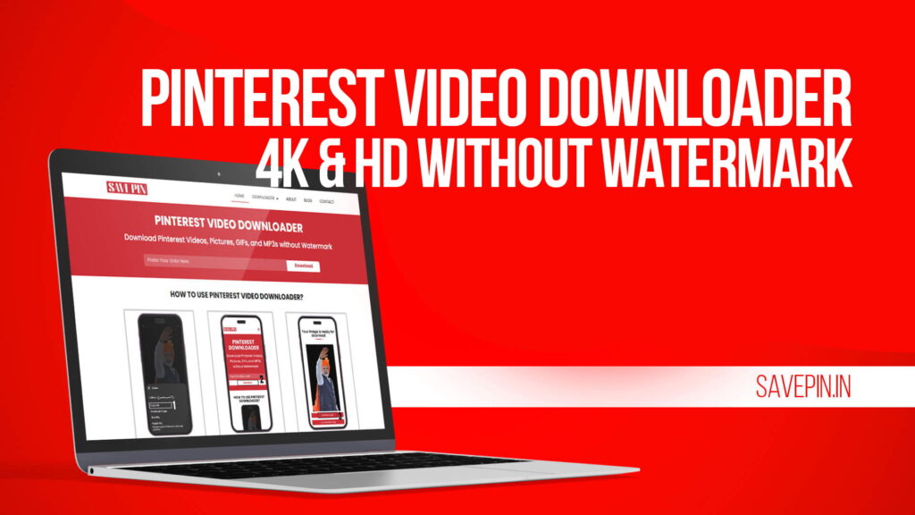 Pinterest Video Downloader | 4K & HD Without Watermark
