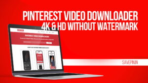 Pinterest Video Downloader | 4K & HD Without Watermark