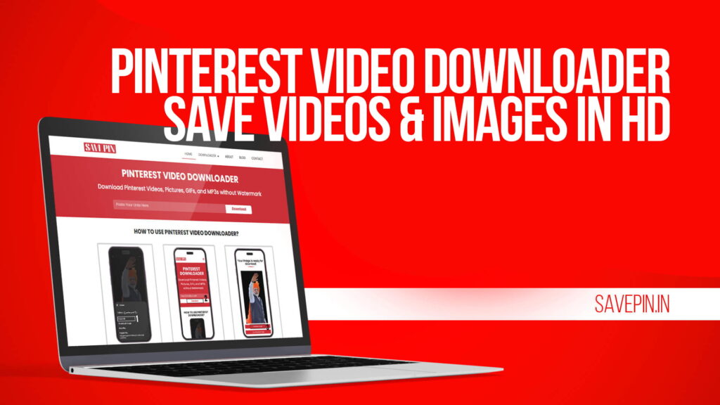 Pinterest Video Downloader | Save Videos & Images in HD