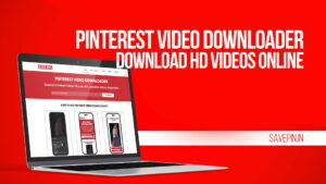 Pinterest Video Downloader - Download HD Videos Online