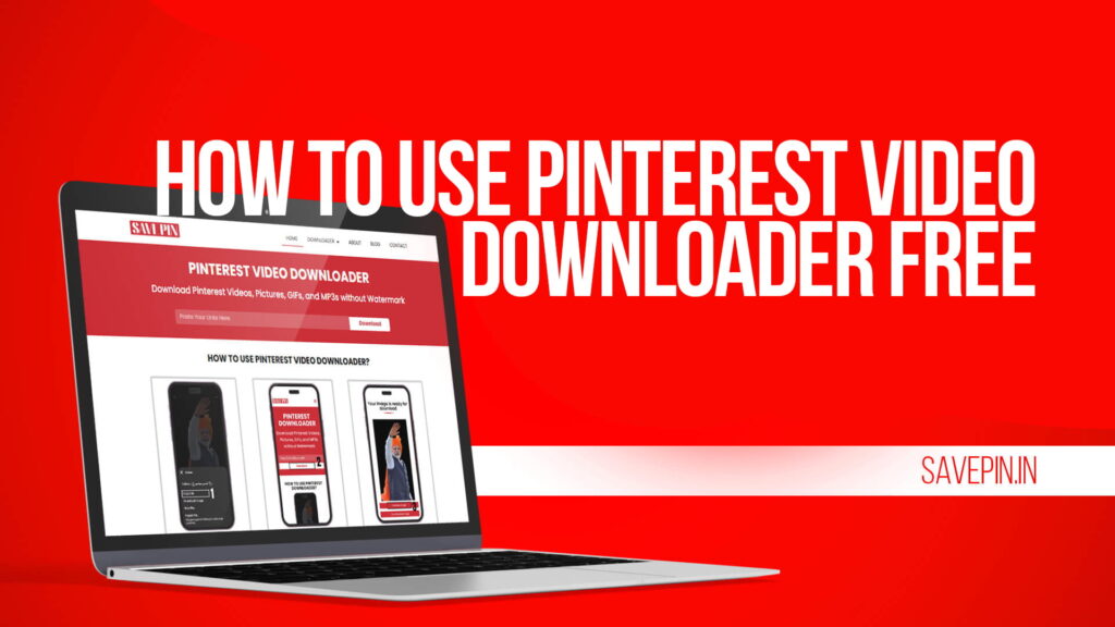 How to Use Pinterest Video Downloader Free
